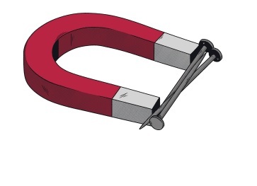 Forces and Magnets Image