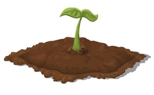 Soil, Plants and Animals Image